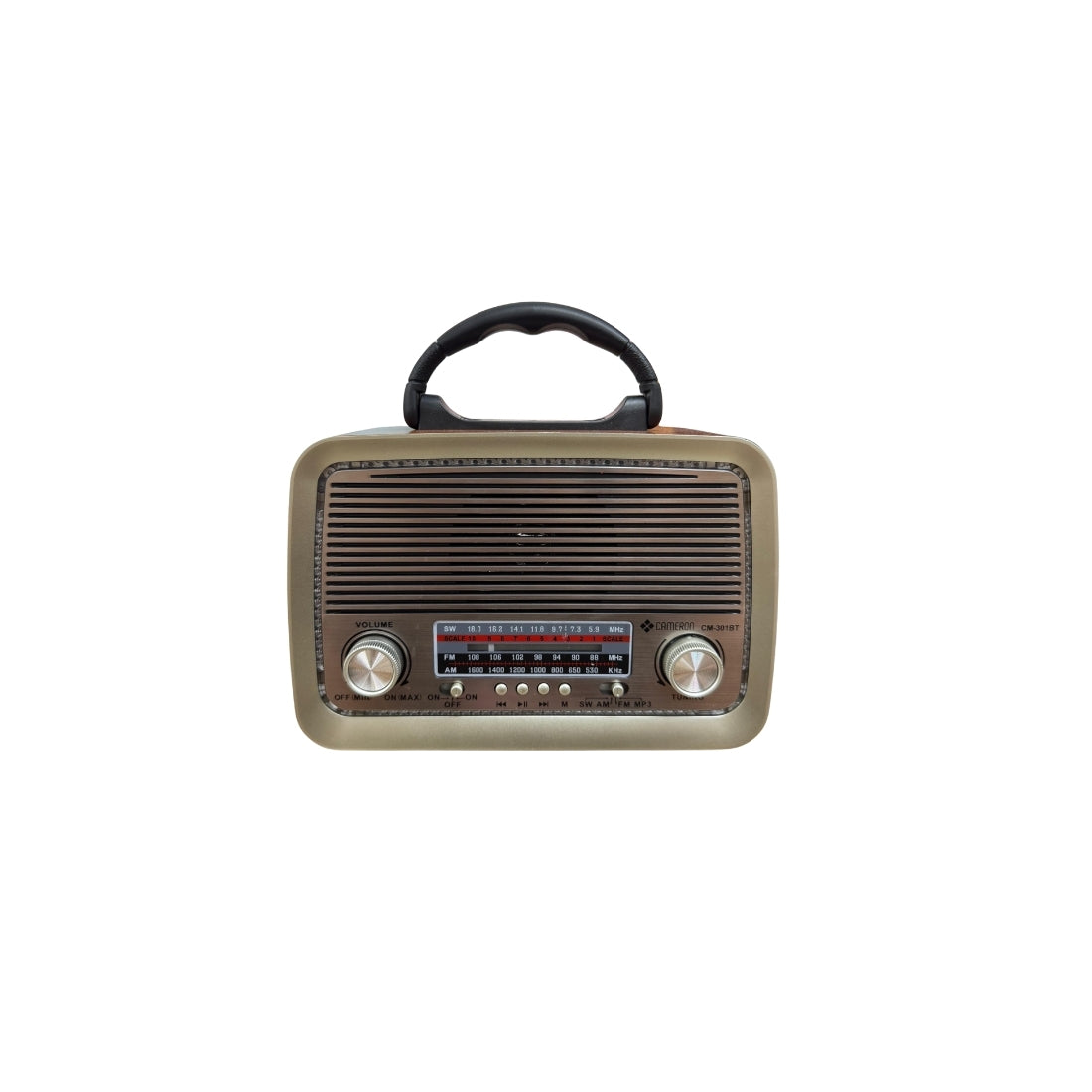 CAMERON CM-301 BT RADYO