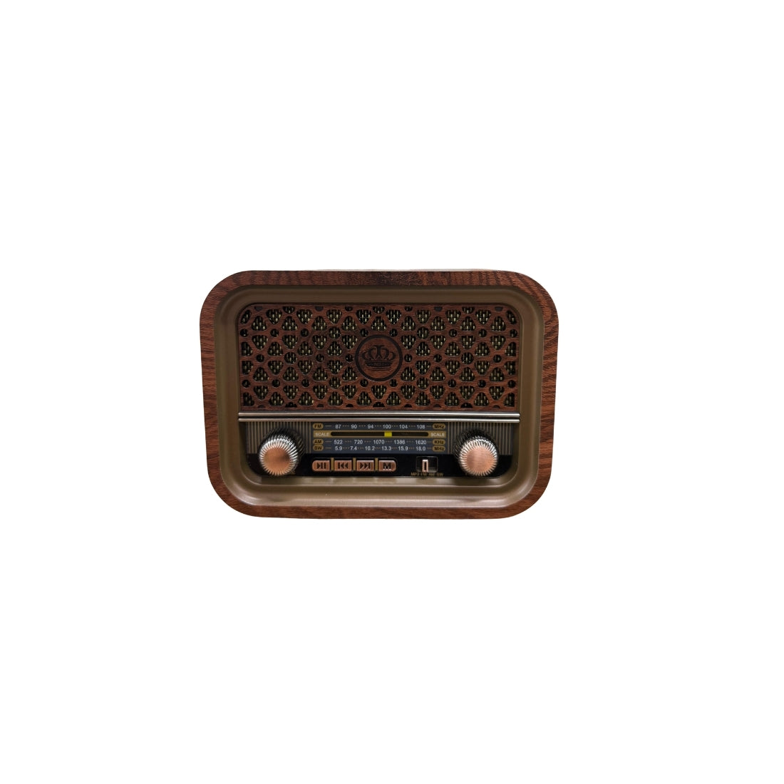 CAMERON CM-310 RADYO